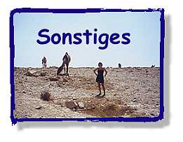 drei Kamele in der W&uuml;ste