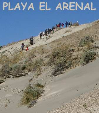 Gruppe auf der Düne