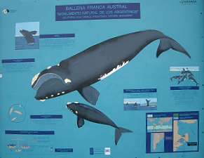 Information am Strand