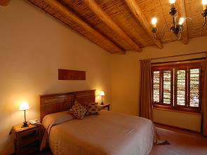 Das Bett und Kaktusholz am Fenster