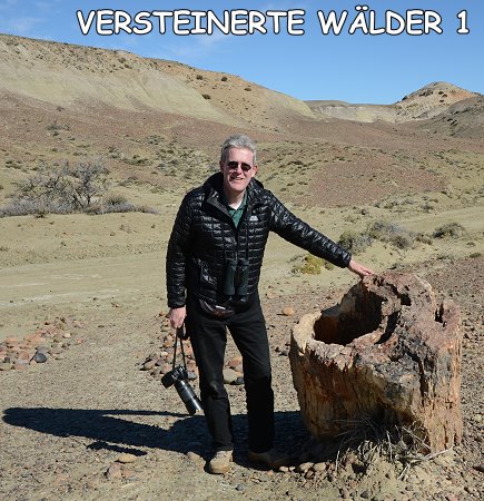 Michael mit Baumstamm