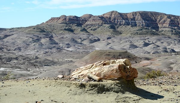 Mondtal mit Baumstamm