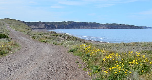 Camino de la Costa