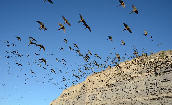 Flugstunde am Morgen