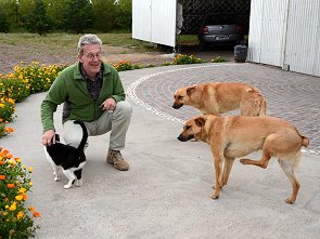 Hunde und Katze