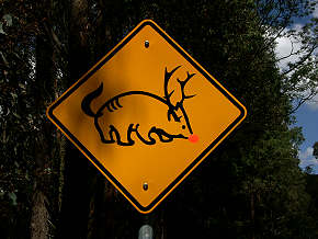 Gunni Schild mit roter Nase von Scherzbold gemalt