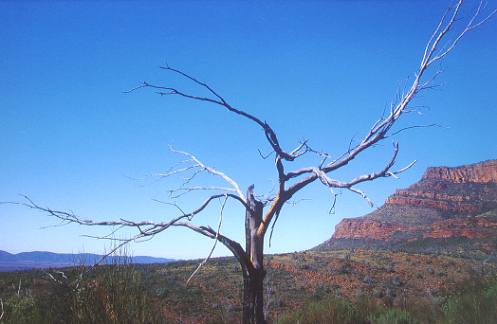 Blick auf die Felswände