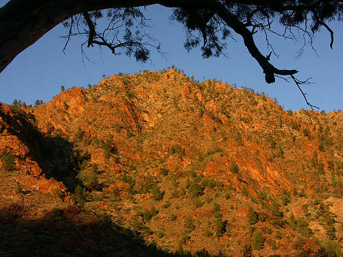 Goldene Abendsonne auf den Felsen