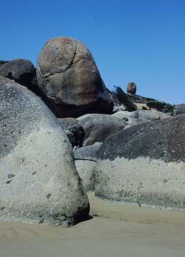 Granitknubbel am Strand