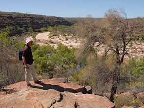 Michael am Murchison