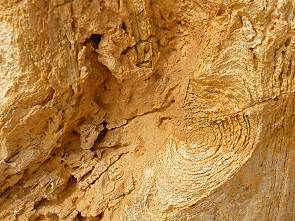 Nahaufnahme Pinnacle