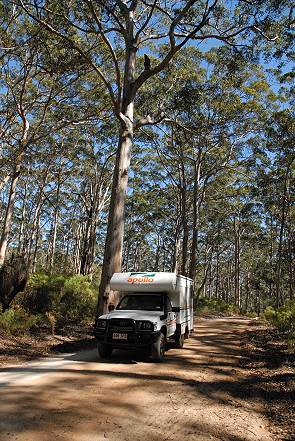 Unser Camper im Boranup Forrest