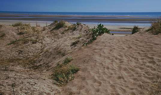 Strand bei Casuarina Coastal Reserve