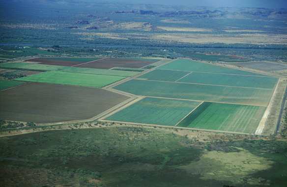 Packsaddle Irrigation Aera