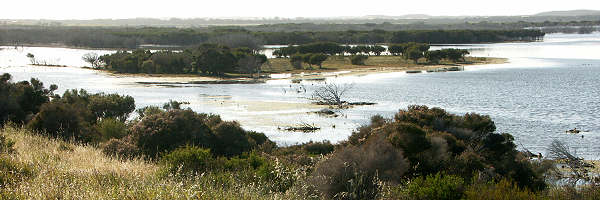 Murray Lagoon