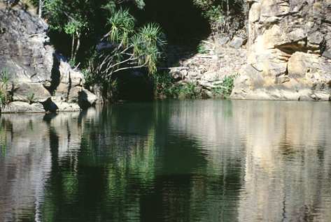 Der Pool in der Butterfly Gorge