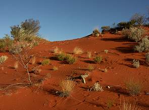 Typische Landschaft: Rote Sanddünen