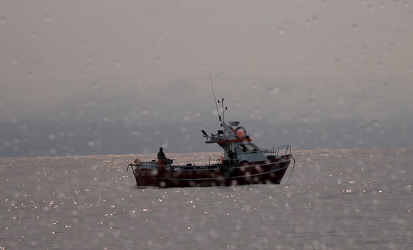 Gegenlicht mit Fischer