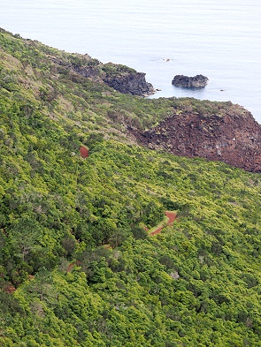 Erdstraße an der Küste