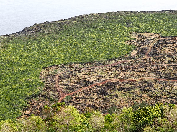 Mistério da Prainha