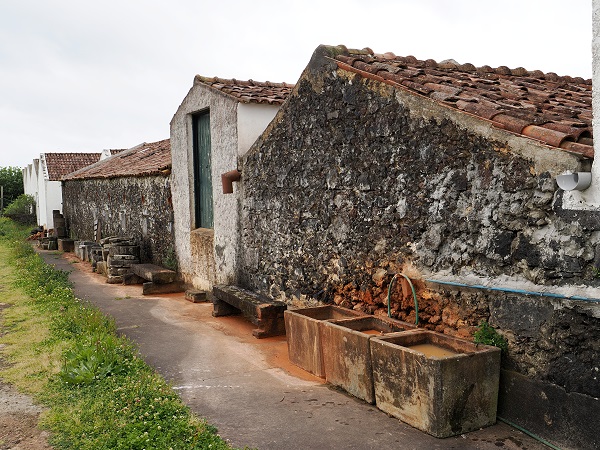 Auf dem Gel&auml;nde