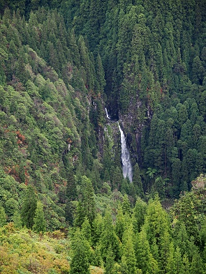 Wasserfall