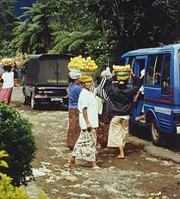 Feilschen am Wegesrand