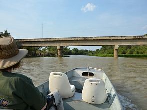 Brücke Transpantaneira