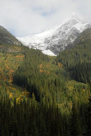 Berge im Glacier National Park