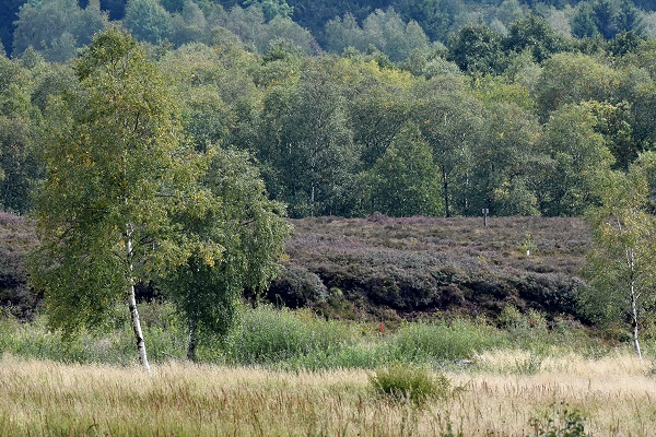 Geländestufe Rotes Moor