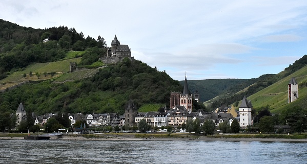 Blick vom Rhein