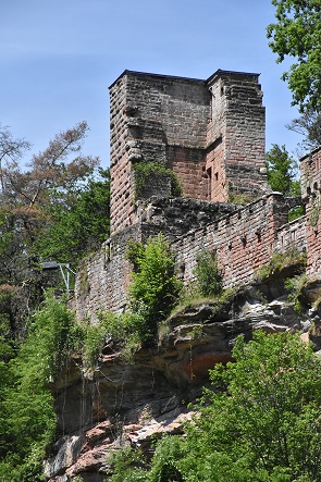 Burg