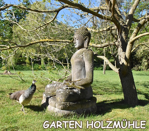 Buddha und Pfau
