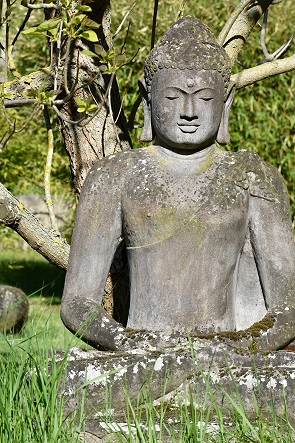 Buddha