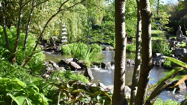 Blickwinkel im Garten