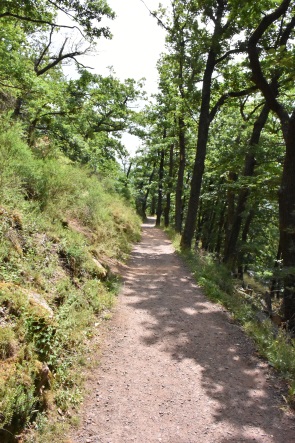 Waldweg hoch zum Schloss