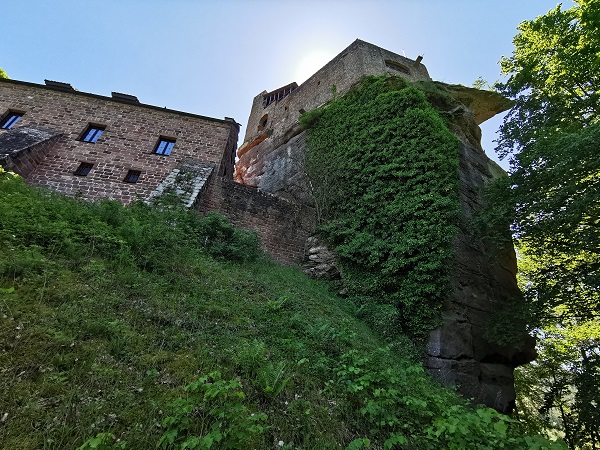 Burg