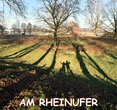 Schatten