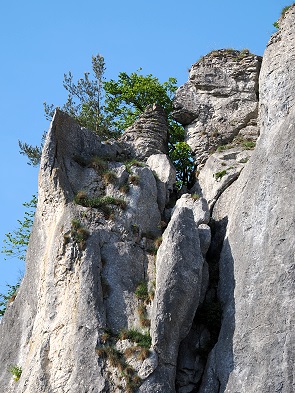 Felsen