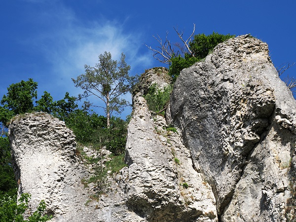 Felsen