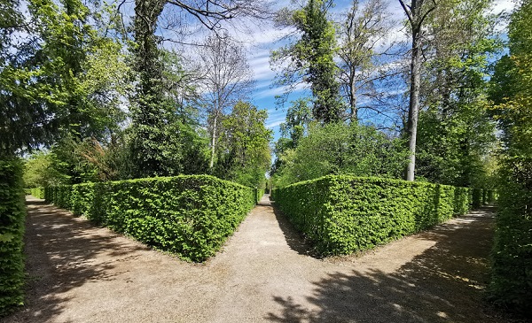 Labyrinth