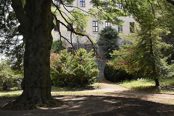 Baum und Schloss