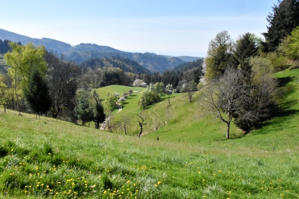 Blick ins Tal