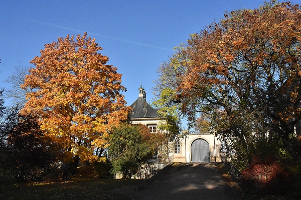 Herbst an der Elbe