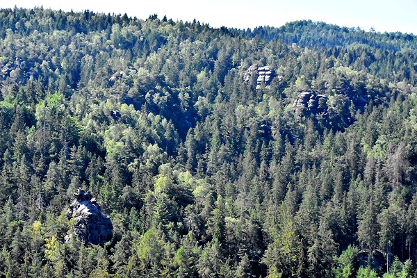 Blick von den Nonnenfelsen