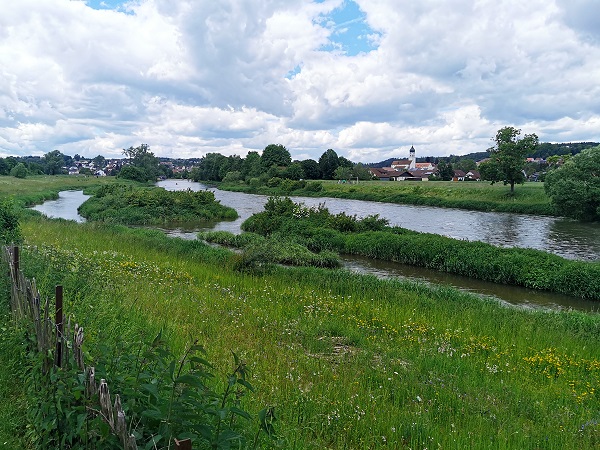 Donauufer mit Blick auf Laiz