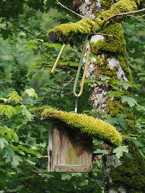 Vogelhaus