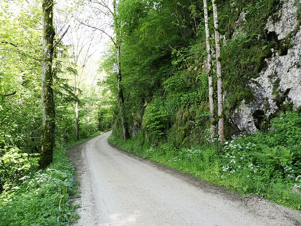 Der Weg