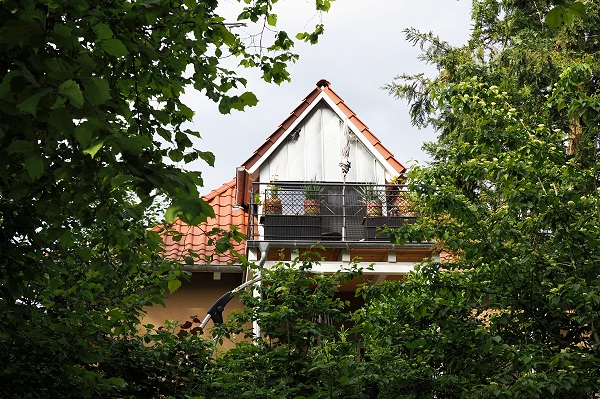 Blick vom Donauweg