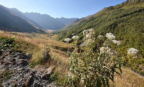 Kirchen und Glockenturm